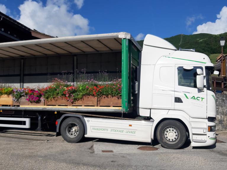 Transport tautliner bachée